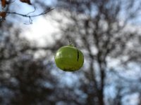 IMG 3441  tournant à l'infini