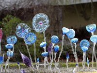 IMG 3491  sur ce bouquet