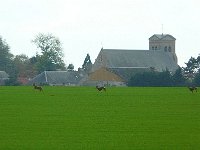 P1180856  qui courent