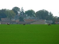 P1180857  à perdre haleine