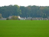 P1180858  à en perdre le nord