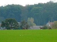 P1180860  Trop vite, ils ont dépassés le nord