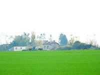 P1180861  alors ils reviennent