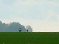 P1180865  finalement