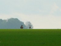 P1180866  ils partent vers l'ouest