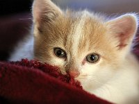 n6  Toi tu feras gaffe, hein?