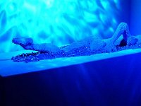 P1190239  La nageuse