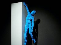 P1190254  L'acrobate