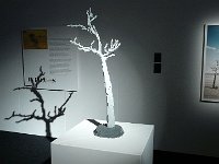 P1190289  l'ombre , le lego et la peinture