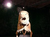 P1190295  Voilà, vous avez aimé ?