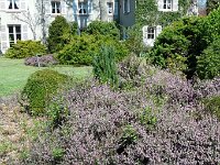 P1190058  L’Arboretum est la propriété du Fonds de Dotation Arboretums de France. Les responsables actuels sont Monsieur et Madame de La Rochefoucauld, fondateurs-donateurs.
