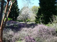 P1190060  C'est magnifique.