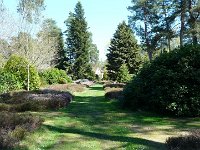 P1190070  Le bout de l'allée.