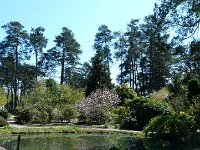 P1190073  En 1984, cet endroit magique  est fait don par ses fondateurs à la Fondation des Parcs de France, alors sous l’égide de la Fondation de France, afin d’en assurer sa pérennité.