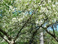 P1190083  Qu'est ce que c'est?