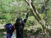 P1190084  C'est trop haut !