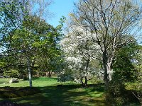 P1190085  Le paradis sur la terre.