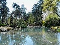 P1190090  Devant ce plan d'eau paradisiaque.