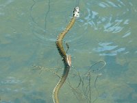 P1190096  On a bien fait de venir dans ce parc.