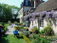 P1190102  La longue glycine mauve.