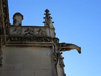 IMG 2105  La gargouille