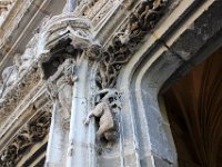 IMG 2106  pas de têtes