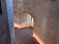 IMG 2177  et sonique