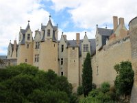 IMG 2315  Mangé de verdure