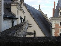 IMG 1987  Les goutières