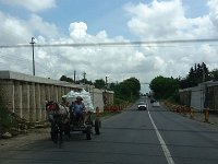 20170608 134803  Le petit cheval dans le mauvais .......(ML)