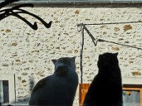 P1200661  C'était pas mal , non!