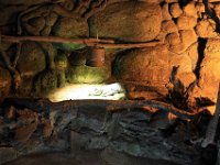 IMG 2325  le caîman