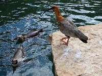 IMG 2344  et toi alors