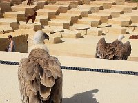 IMG 2370  quelque chose