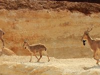 IMG 2381  le markang