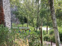 IMG 6813  Le petit train.