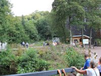 IMG 6831  Ils sortent de la grille