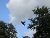 IMG 6837  Ca va mieux