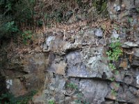 IMG 6841  Gardez vos virus ! La réponse des Bretons aux Parisiens en exil .Marie Darrieussecq : « Nous planquons au garage notre voiture immatriculée à Paris »« Restez chez vous avec vos microbes ! » : les locaux pestent contre les exilés urbains. Paris go home : bonjour l'ambiance.« Il est désormais interdit de rejoindre un nouveau lieu de confinement en dehors de Paris« , annonce également la préfecture de police. La guerre du 14.