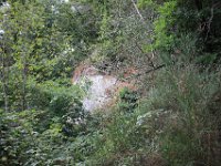 IMG 6842  Pourtant personne....