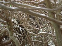 IMG 6684  Cela méritait bien un album.