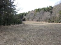 IMG 7920  Traversons cette prairie.