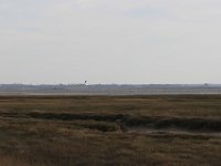 IMG 6736  En hiver, le marais se transforme totalement, c’est ce qu’on appelle « le marais blanc ». Tout au long de cette saison, les fortes précipitations font déborder le réseau des nombreuses petites rivières et limes qui sillonnent le marais.