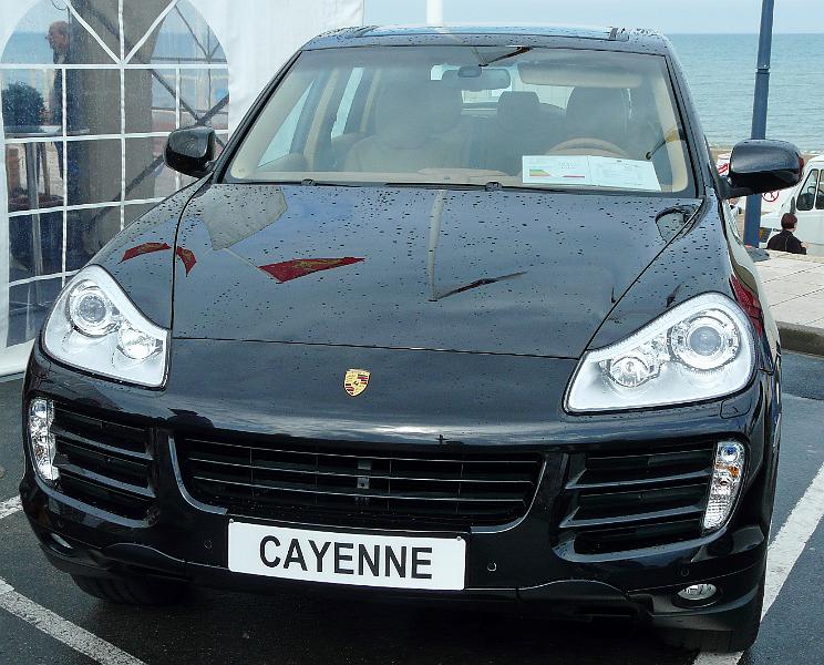 P1050303.JPG - Elephantcar