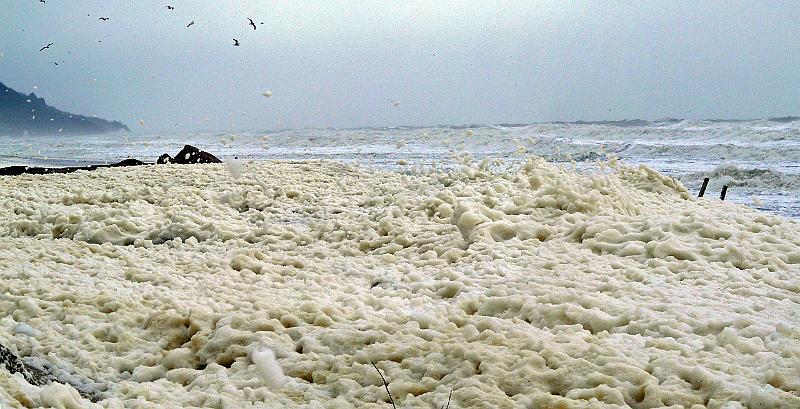 10.jpg - Strong wind on the water......Winter 2008.