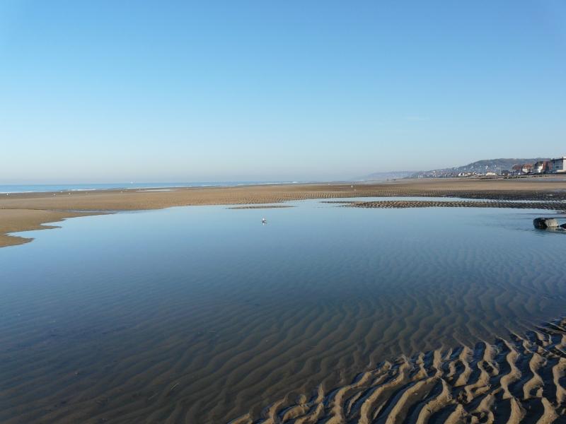 7.JPG - Le dimanche est le jour des départs majeurs.Charllelie Couture.