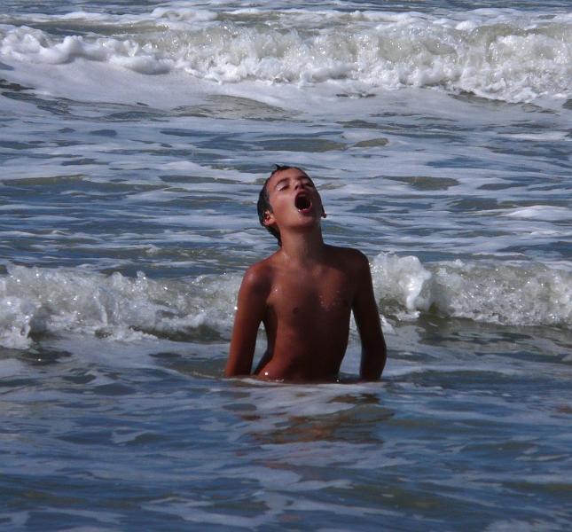 P1040627.JPG - Il embrasse à rebours l'air salin des  embruns.