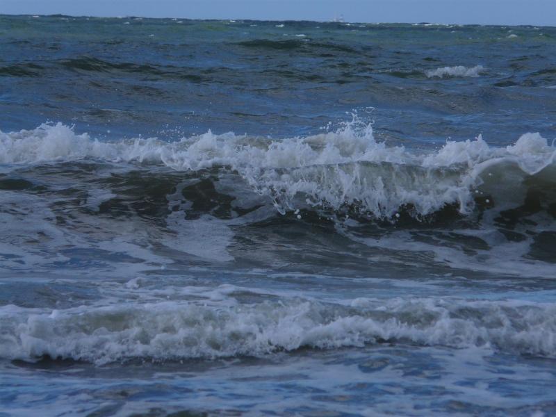 P1040707.JPG - Le manège.