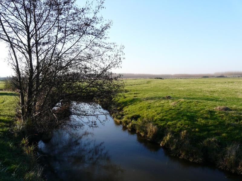 11.jpg - Le marais montre son meileur jour.