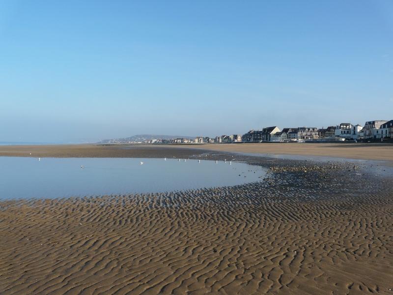 6.jpg - Il a fait beau ces deux semaines.